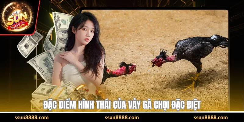 Đặc điểm hình thái của vảy gà chọi đặc biệt