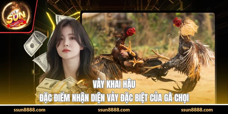 Vảy Khai Hậu - Đặc Điểm Nhận Diện Vảy Đặc Biệt Của Gà Chọi