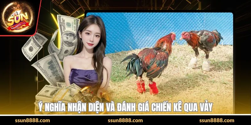 Ý nghĩa nhận diện và đánh giá chiến kê qua vảy